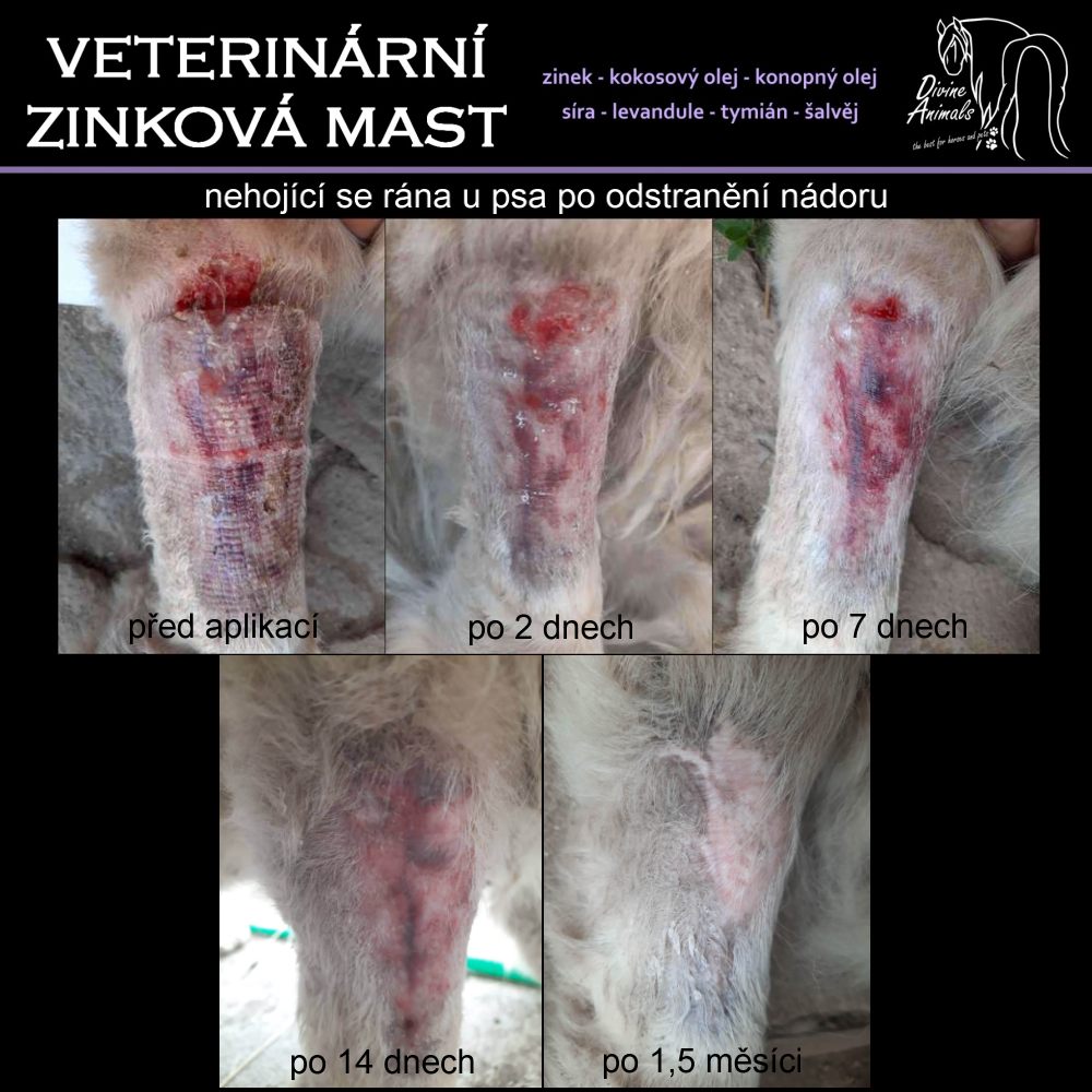 Veterinary zinc ointment