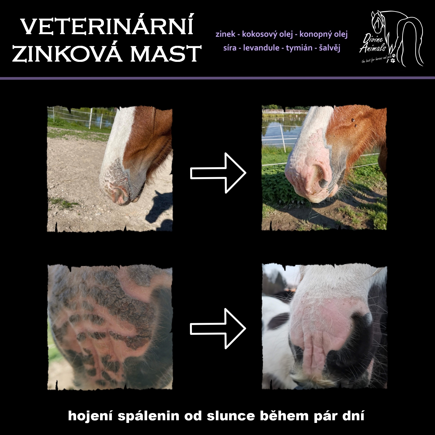 Veterinary zinc ointment